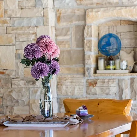 Ela By Interhome Holiday home